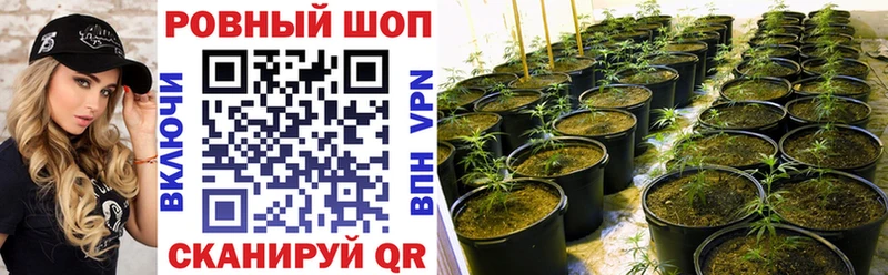 Купить закладку COCAIN  Псилоцибиновые грибы  Alpha-PVP  ГАШ  Меф  МАРИХУАНА  Новая Ладога