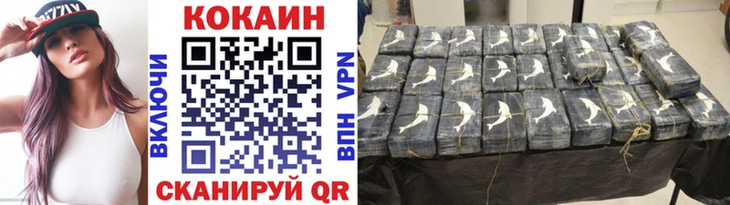 COCAIN VHQ Новая Ладога
