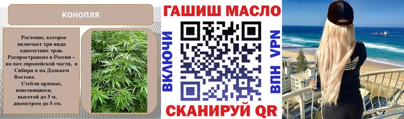 Купить закладки  Новая Ладога  ТГК концентрат 