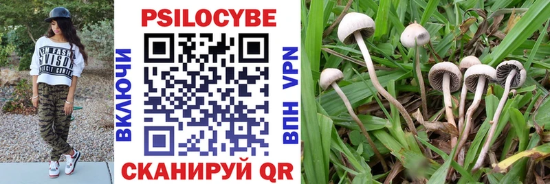 Купить  Новая Ладога  Галлюциногенные грибы MAGIC MUSHROOMS 