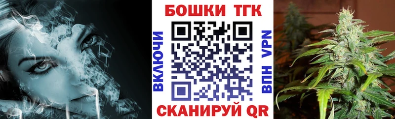 Купить закладки  Новая Ладога  Бошки марихуана индика 