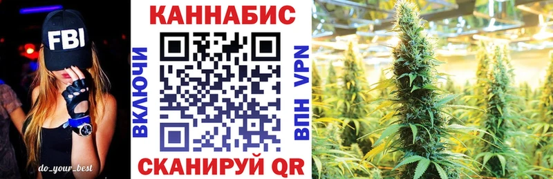 МАРИХУАНА сатива Новая Ладога